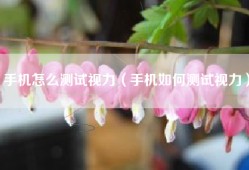 手机怎么测试视力（手机如何测试视力）