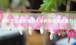 手机怎么测试视力（手机如何测试视力）