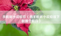 手机听小说软件（用手机听小说应该下载哪个软件）