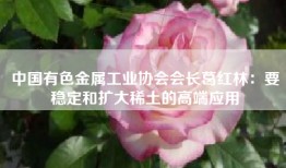 中国有色金属工业协会会长葛红林：要稳定和扩大稀土的高端应用