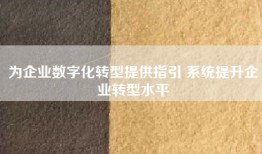 为企业数字化转型提供指引 系统提升企业转型水平