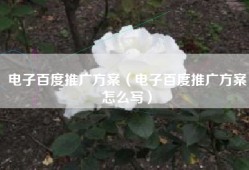 电子百度推广方案（电子百度推广方案怎么写）