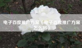 电子百度推广方案（电子百度推广方案怎么写）