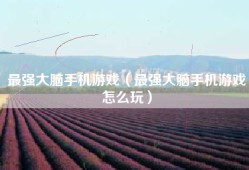 最强大脑手机游戏（最强大脑手机游戏怎么玩）
