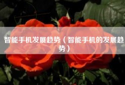 智能手机发展趋势（智能手机的发展趋势）
