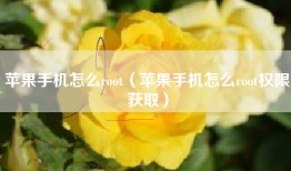 苹果手机怎么root（苹果手机怎么root权限获取）