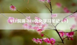 WEB前端--SEO优化学习笔记（9）