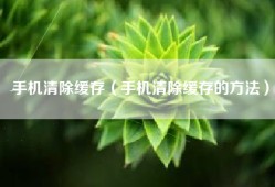手机清除缓存（手机清除缓存的方法）