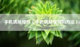 手机清除缓存（手机清除缓存的方法）