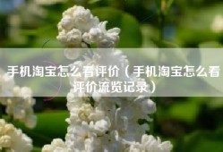 手机淘宝怎么看评价（手机淘宝怎么看评价流览记录）