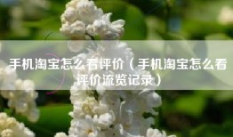 手机淘宝怎么看评价（手机淘宝怎么看评价流览记录）