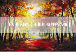 手机配颜色（手机机身颜色选择）