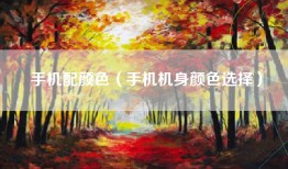 手机配颜色（手机机身颜色选择）