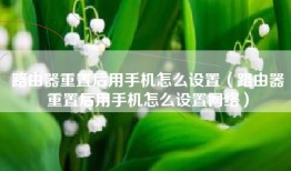 路由器重置后用手机怎么设置（路由器重置后用手机怎么设置网络）