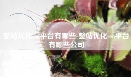 整站优化seo平台有哪些-整站优化seo平台有哪些公司