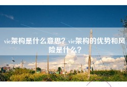 vie架构是什么意思？vie架构的优势和风险是什么？