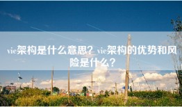 vie架构是什么意思？vie架构的优势和风险是什么？