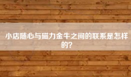 小店随心与磁力金牛之间的联系是怎样的？