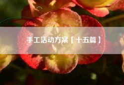 手工活动方案【十五篇】