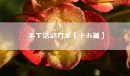 手工活动方案【十五篇】