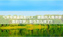 气哭导演逼疯制片人，遭圈内人集体炮轰的李梦，如今怎么样了？