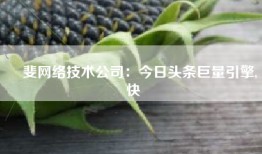 喆斐网络技术公司：今日头条巨量引擎,快
