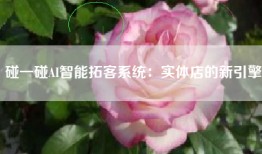 碰一碰AI智能拓客系统：实体店的新引擎