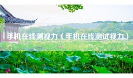 手机在线测视力（手机在线测试视力）