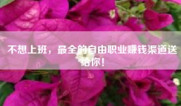 不想上班，最全的自由职业赚钱渠道送给你！