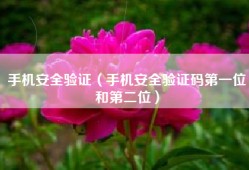 手机安全验证（手机安全验证码第一位和第二位）
