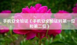 手机安全验证（手机安全验证码第一位和第二位）