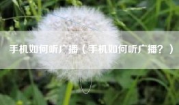 手机如何听广播（手机如何听广播？）