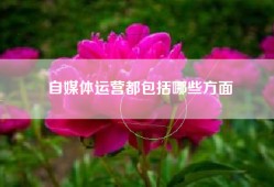 自媒体运营都包括哪些方面