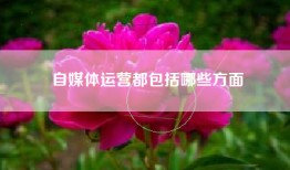 自媒体运营都包括哪些方面