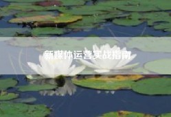 新媒体运营实战指南