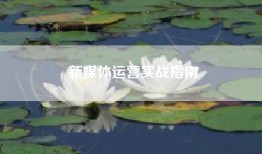 新媒体运营实战指南
