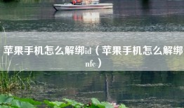 苹果手机怎么解绑id（苹果手机怎么解绑nfc）