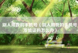 别人用我的手机号（别人用我的手机号发验证码怎么办）