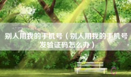别人用我的手机号（别人用我的手机号发验证码怎么办）