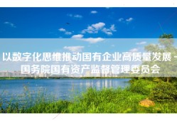 以数字化思维推动国有企业高质量发展－国务院国有资产监督管理委员会