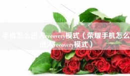 手机怎么进入recovery模式（荣耀手机怎么进入recovery模式）
