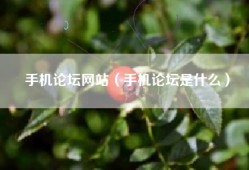 手机论坛网站（手机论坛是什么）