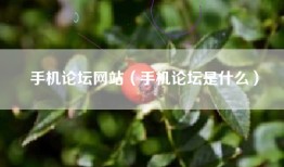 手机论坛网站（手机论坛是什么）