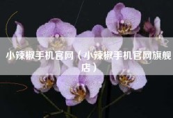 小辣椒手机官网（小辣椒手机官网旗舰店）