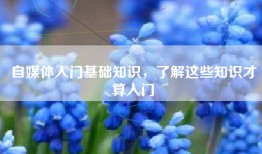 自媒体入门基础知识，了解这些知识才算入门