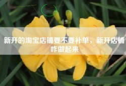 新开的淘宝店铺要不要补单，新开店铺咋做起来