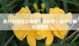 新开的淘宝店铺要不要补单，新开店铺咋做起来