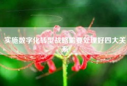 实施数字化转型战略需要处理好四大关系