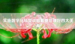 实施数字化转型战略需要处理好四大关系