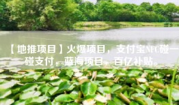 【地推项目】火爆项目，支付宝NFC碰一碰支付，蓝海项目，百亿补贴。